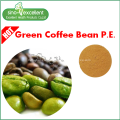 Green coffee bean extract powder